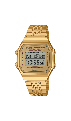 Chrono Euro Diffusion CASIO   Chrono Euro Diffusion